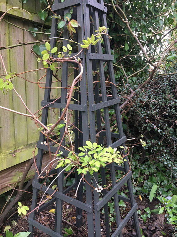 Ecologische verf voor plantenbak