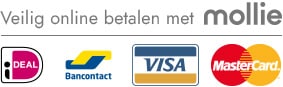 Veilig betalen met iDeal en Bancontact